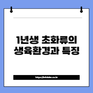 썸네일_1년생 초화류의 생육환경과 특징