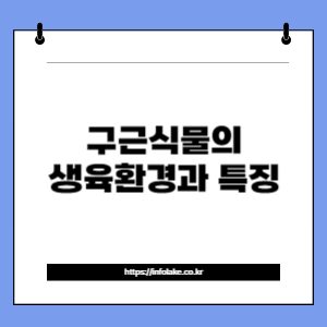 썸네일_구근식물의 생육환경과 특징